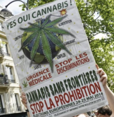 Lancer une expérimentation territoriale sur la dépénalisation de toutes les drogues